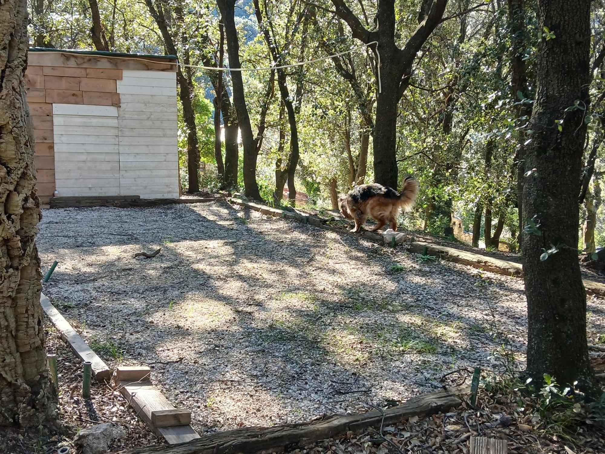 La Bergerie Villa Sorède Exteriör bild